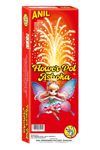 Flower Pots Asoka (10 x 1) 
