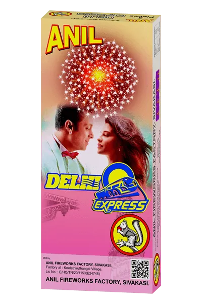 Delhi Express 